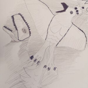 Rysunki, ilustracje i nadruki